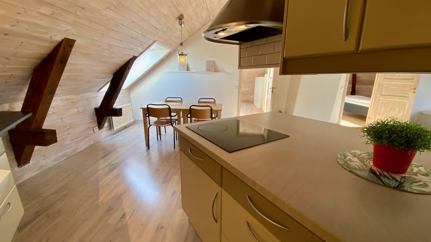 Hotell-lägenhet, vindsvåning vid Adelsgatan, mingelgård för möten