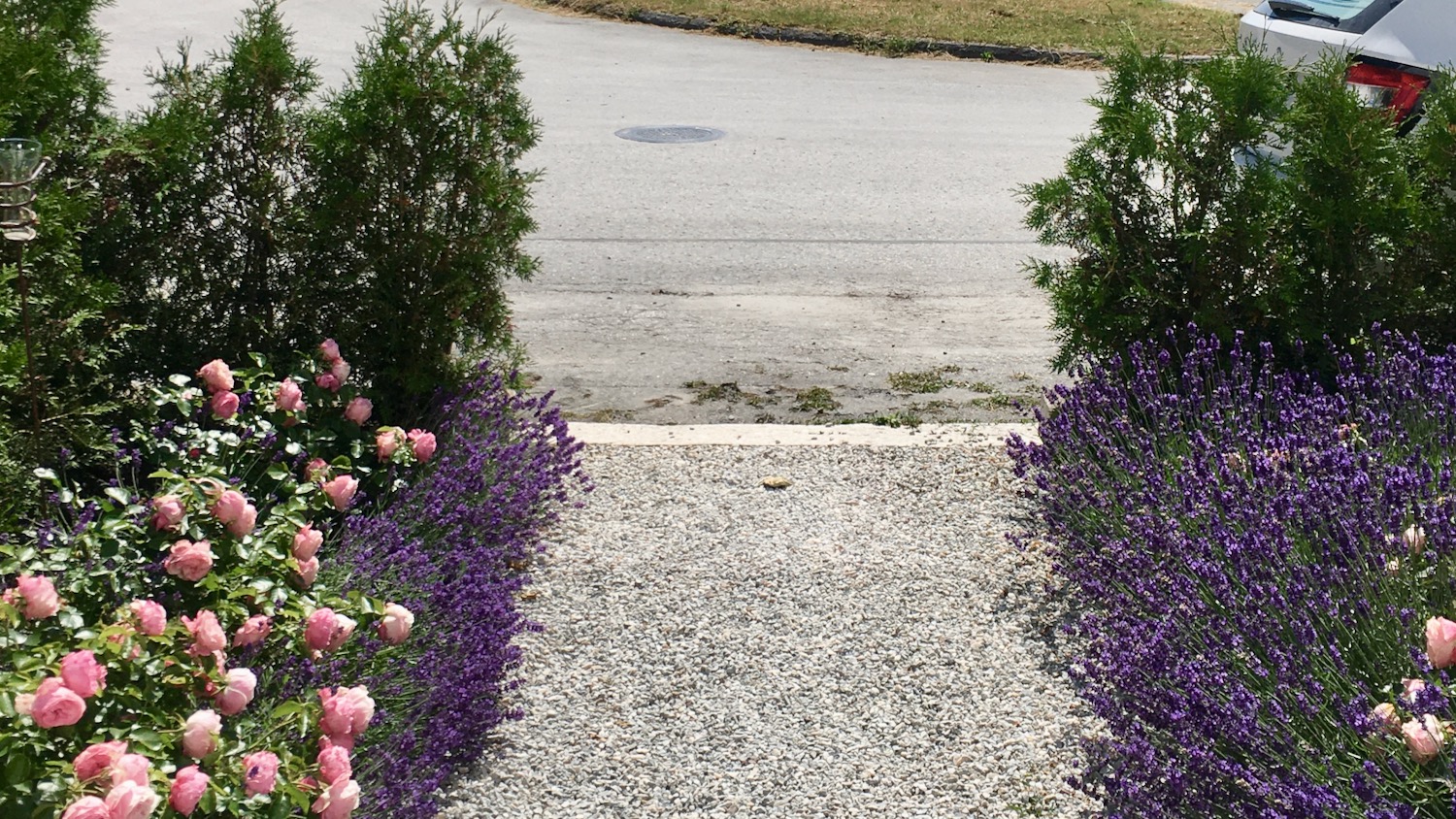 Boka MTV 2026 - Stor villa med 5 sovrum / 8 bäddar - 10 minuters promenad från Visby centrum