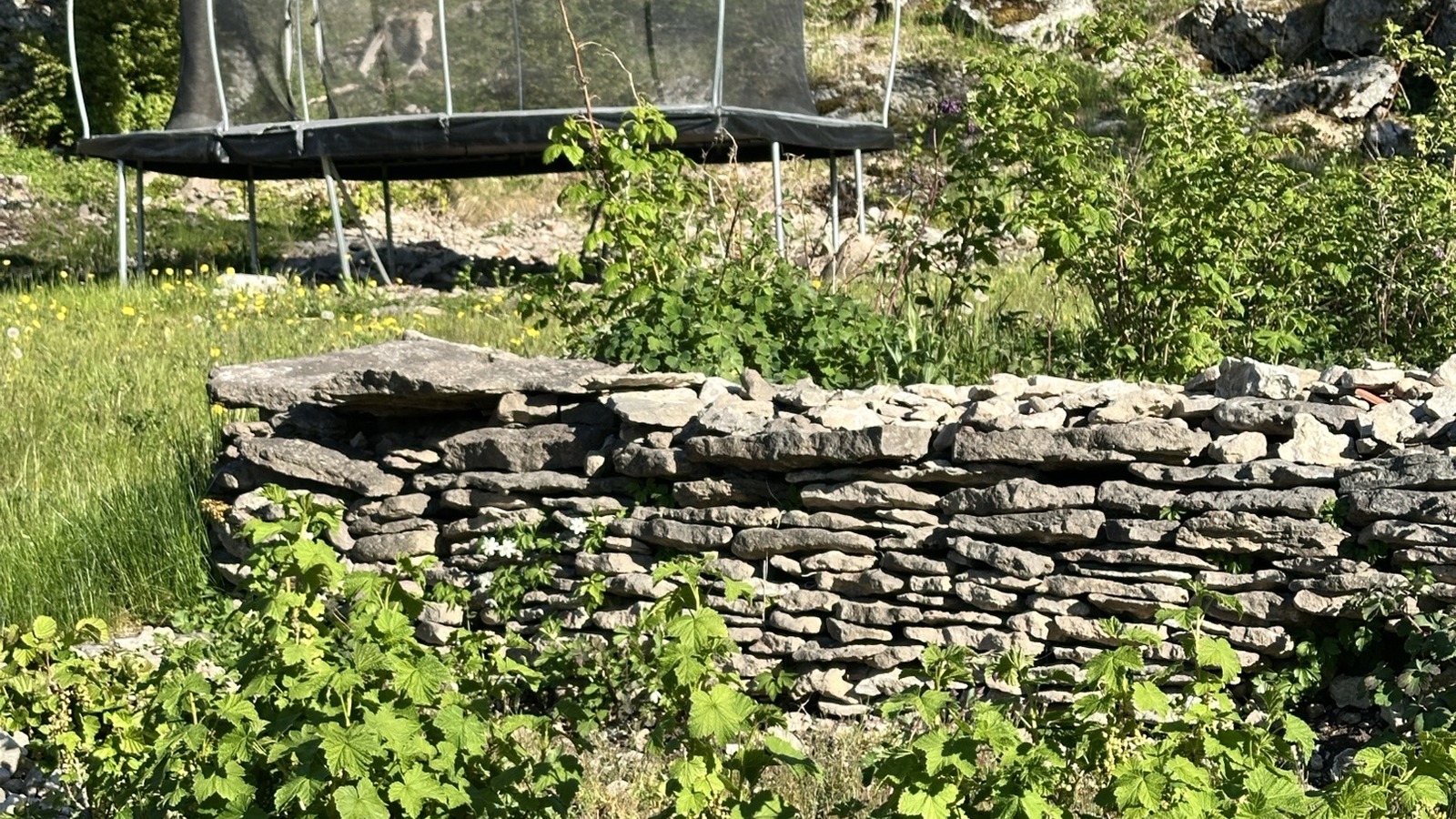 Boka 2026 - Sista minuten, semesterparadis ca 1 mil söder om Visby