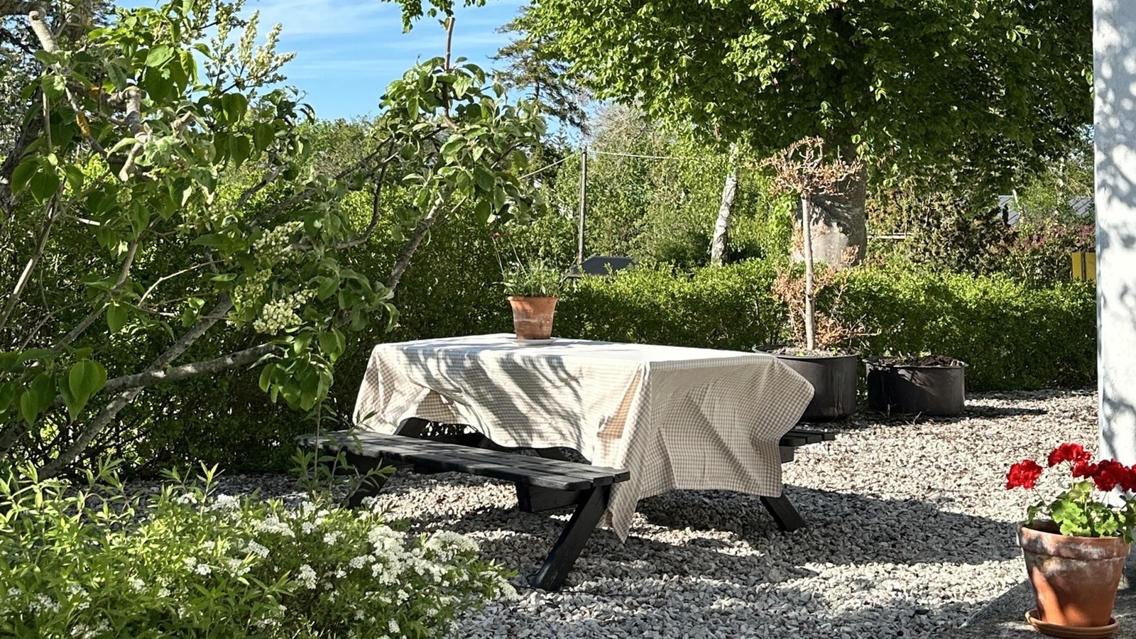 Boka 2026 - Sista minuten, semesterparadis ca 1 mil söder om Visby