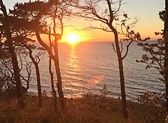 Boka 2022 - Semesterparadis med pool, nära havet i Ygne, fastighet med 3 hus och stor trädgård