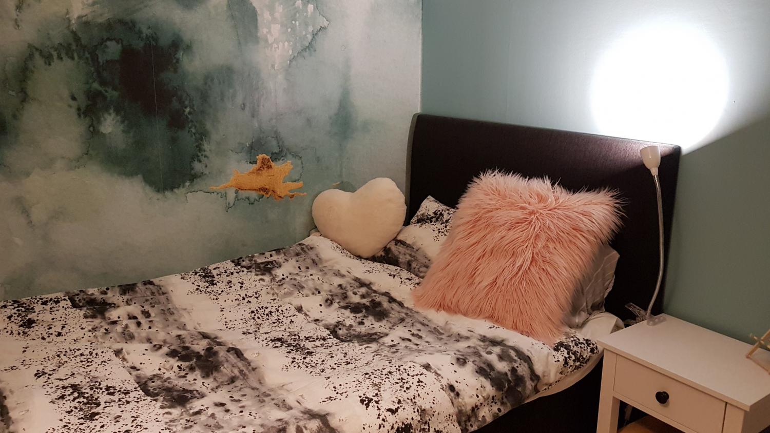 Boka 2020 - Villa med 5 sovrum ca. 2 km söder om ringmuren