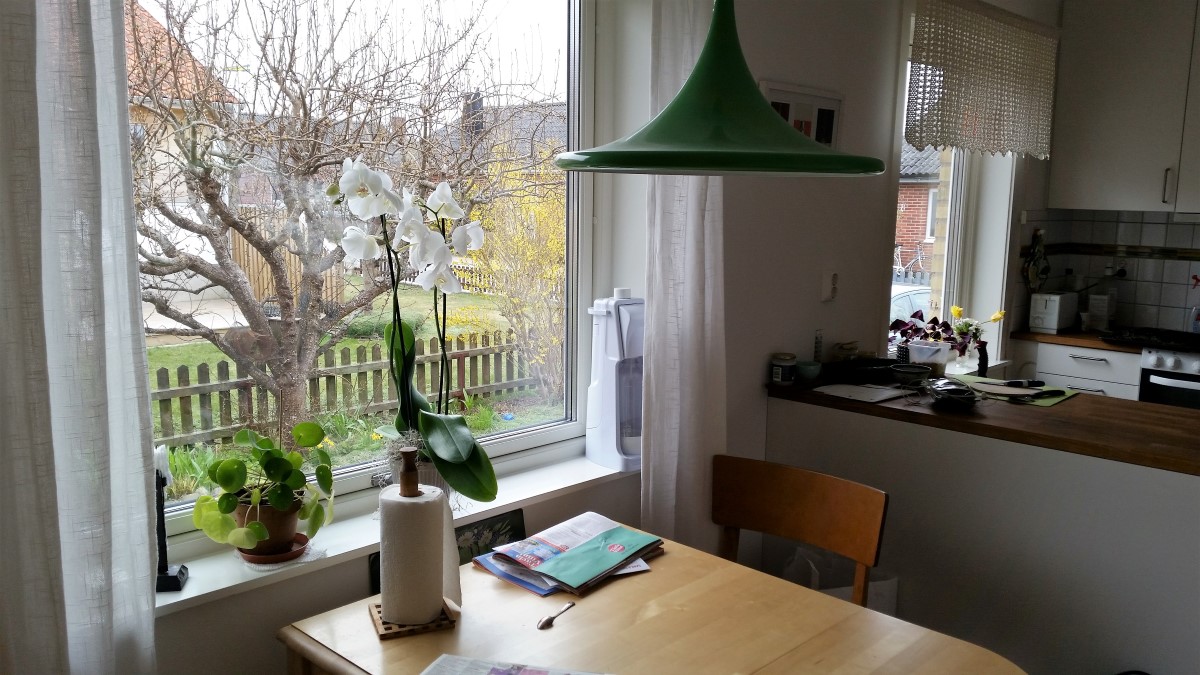 Hus med 4 sovrum 1,5 km från Söderport