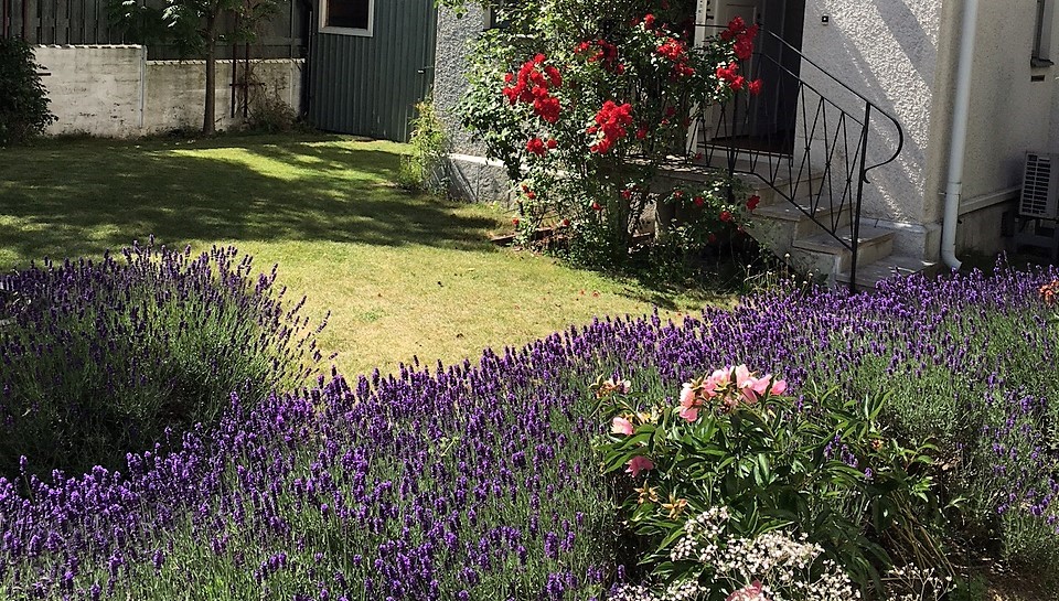 Boka 2026 - Lyxig villa vid Kinbergs plats i Visby innerstad