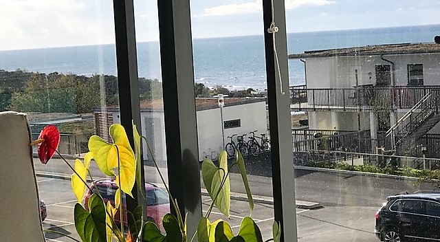 Boka 2020 - Nybyggd 4:a på Snäck i norra Visby, ca 3 km längs strandpromenaden till Almedalen