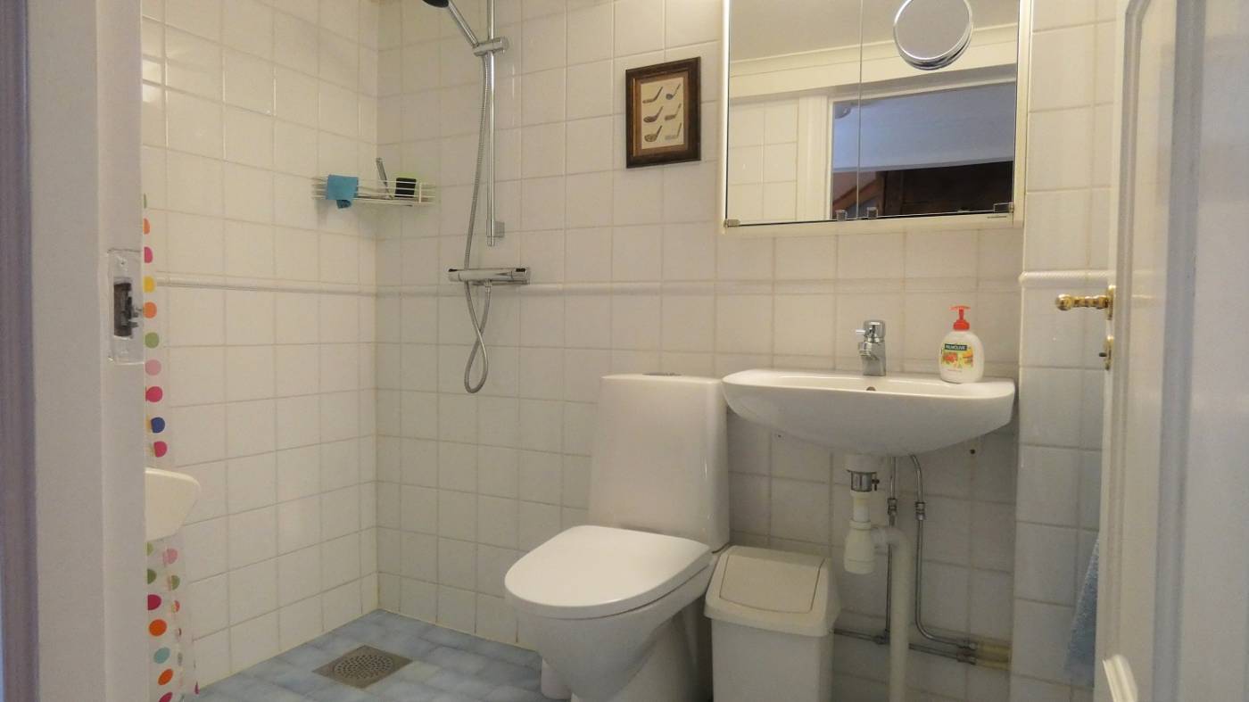 Attraktivt innerstadhus med stor trädgård - Mingel och rundabordssamtal - Stenkast från Almedalen