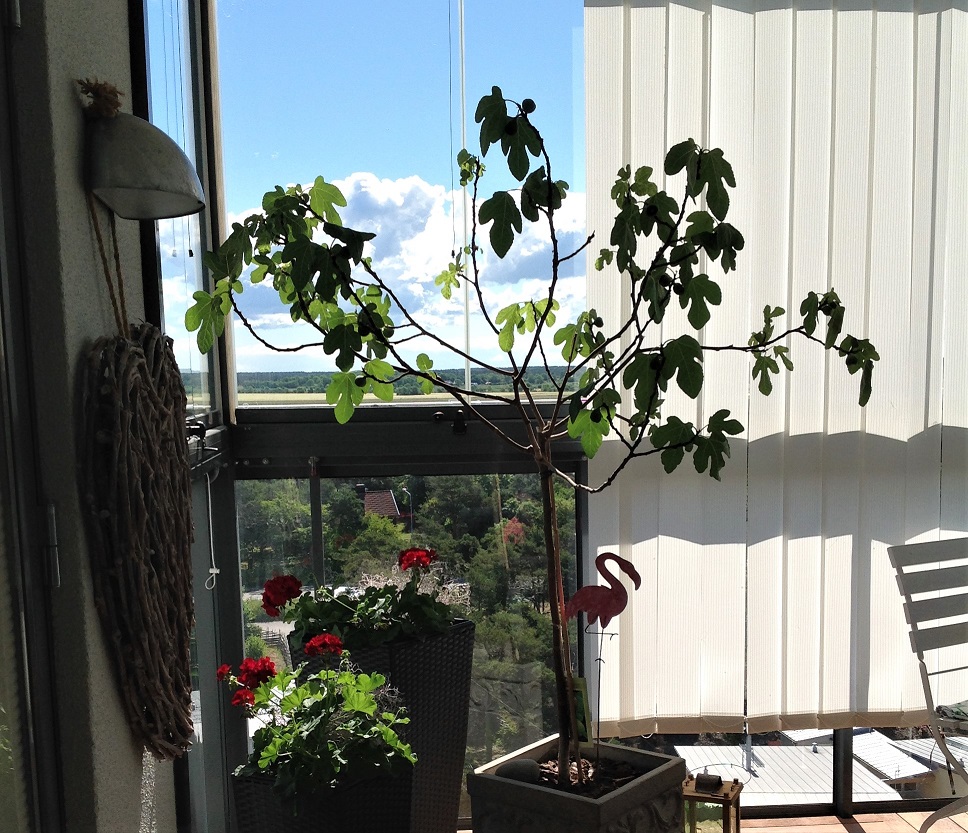 Fräsch 3:a med fantastisk utsikt ca 3 km norr om Visby innerstad