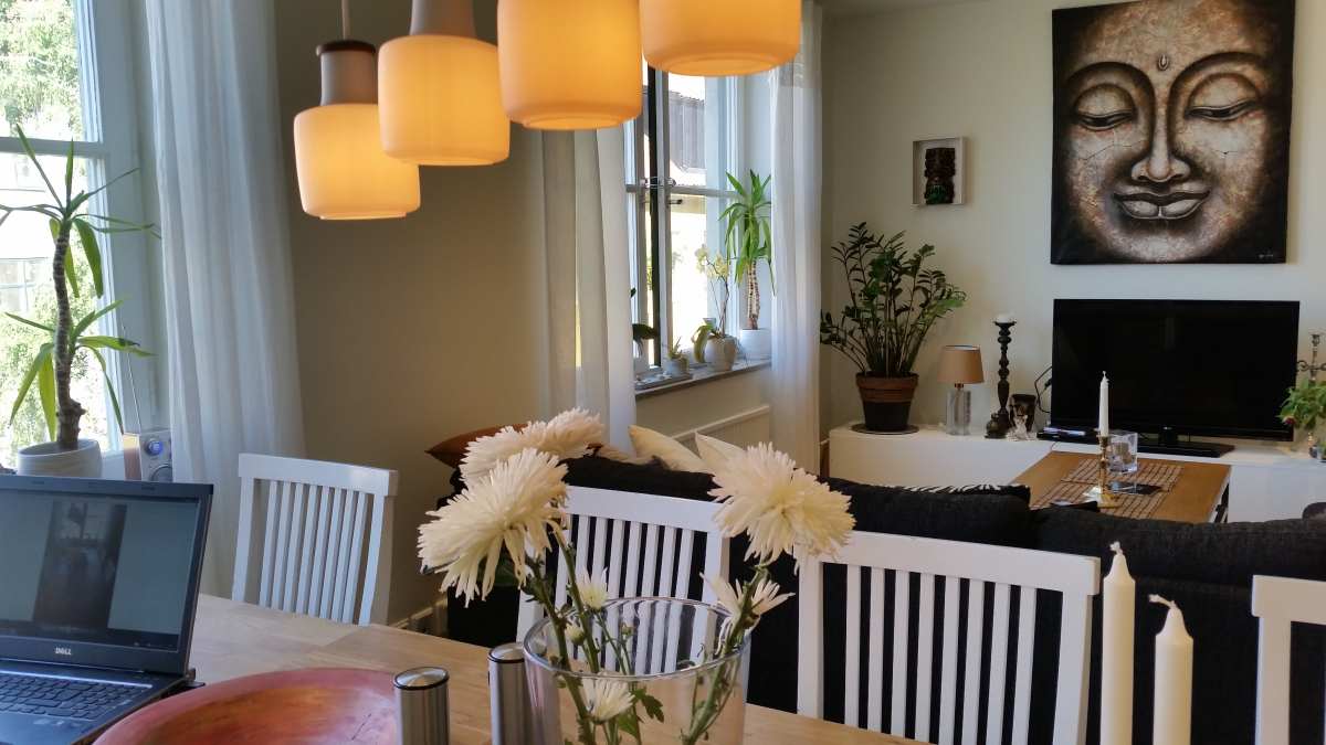 Boka 2019 - Nybyggd lägenhet 200 meter från Almedalen