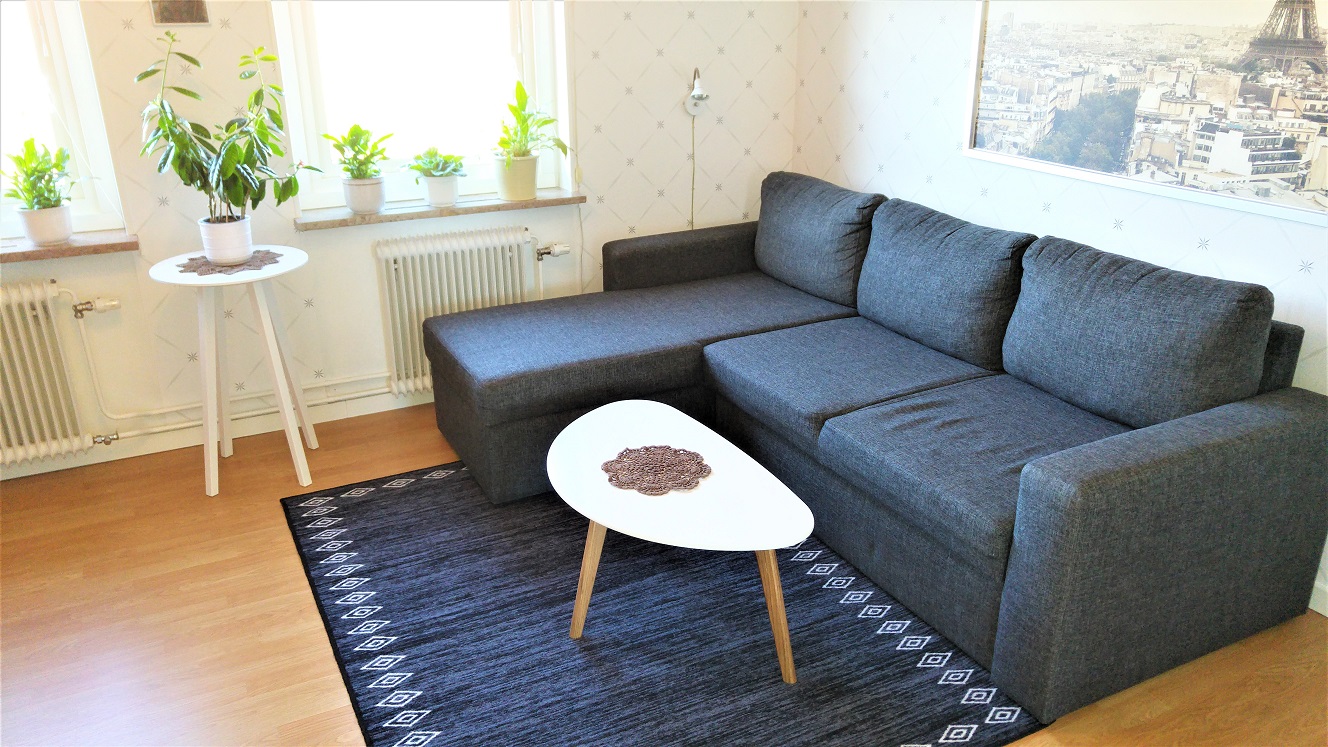 Boka 2019 - Fin 3:a i södra Visby