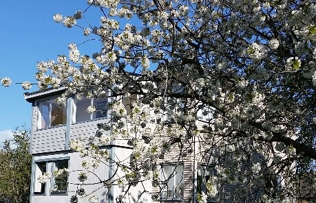 Boka 2019 - Mysigt hus i Vibble