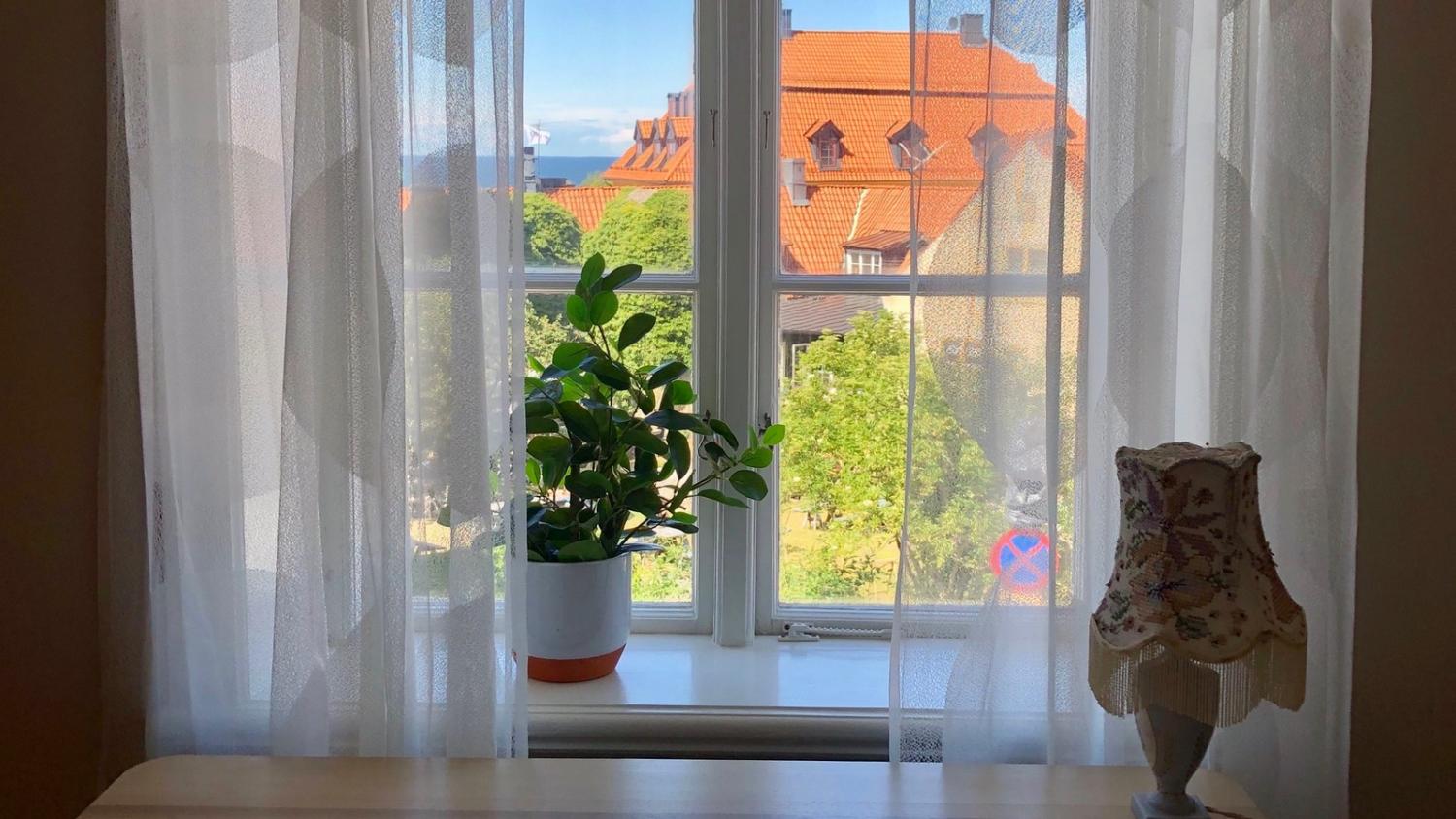 Boka 2020 - Lägenhet vid St.Hans-ruin - 350 meter från Almedalen