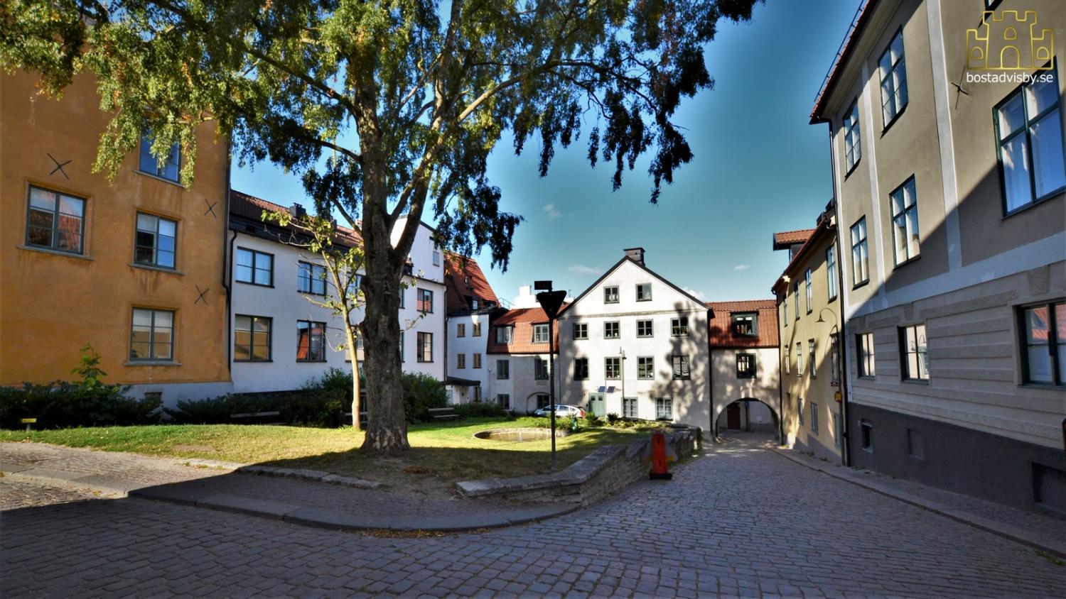 150 meter från Almedalen. Fräsch lägenhet för 5 personer.