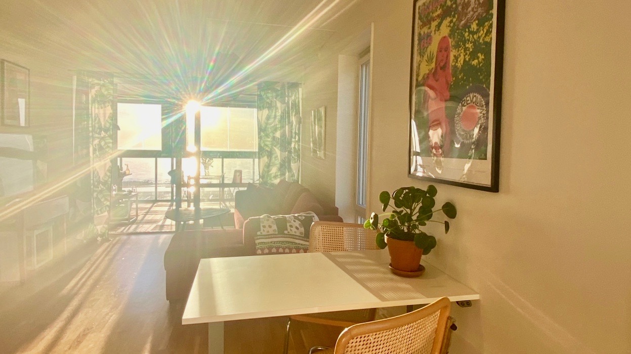 Boka 2023 - Fin 3:a på Snäck vid strandpromenaden