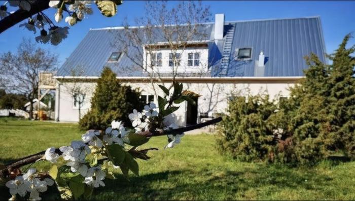 Boka 2027 - Nybyggd Villa, 6:a, upp till 15 bäddar, med solig trädgård nära Visby sommarland